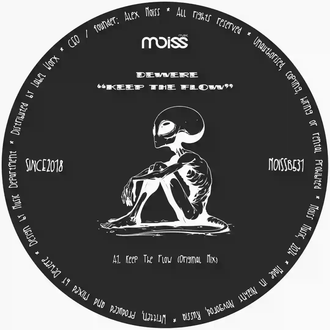 Keep The Flow (Original Mix) cover