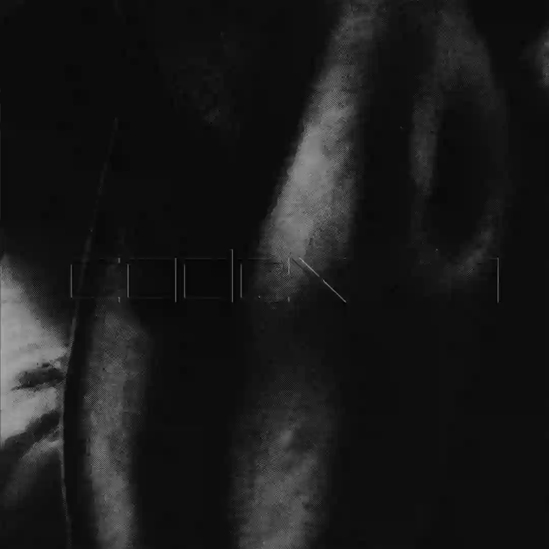 Codex / 1 cover
