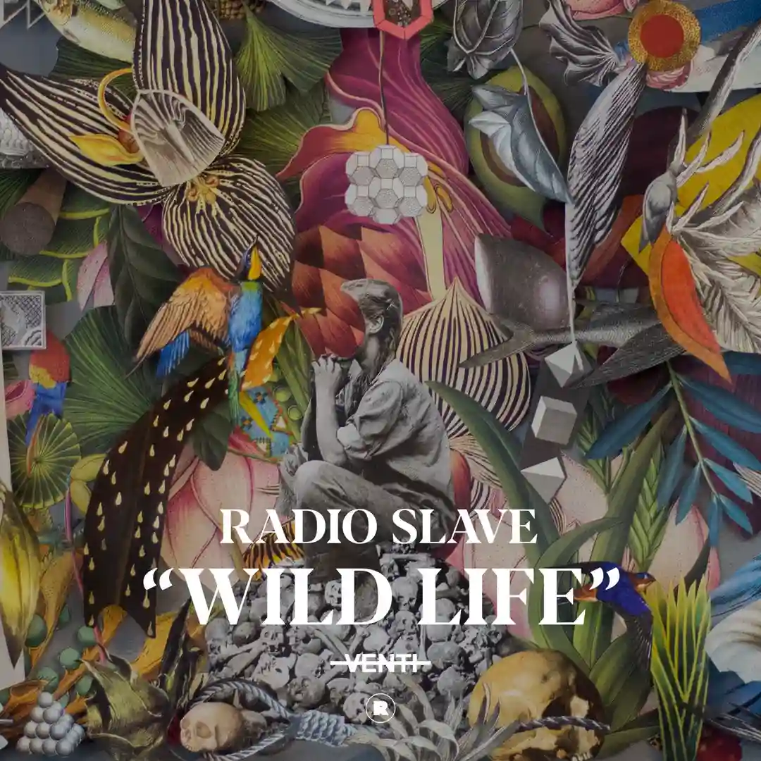 Wild Life (Disco Mix) cover