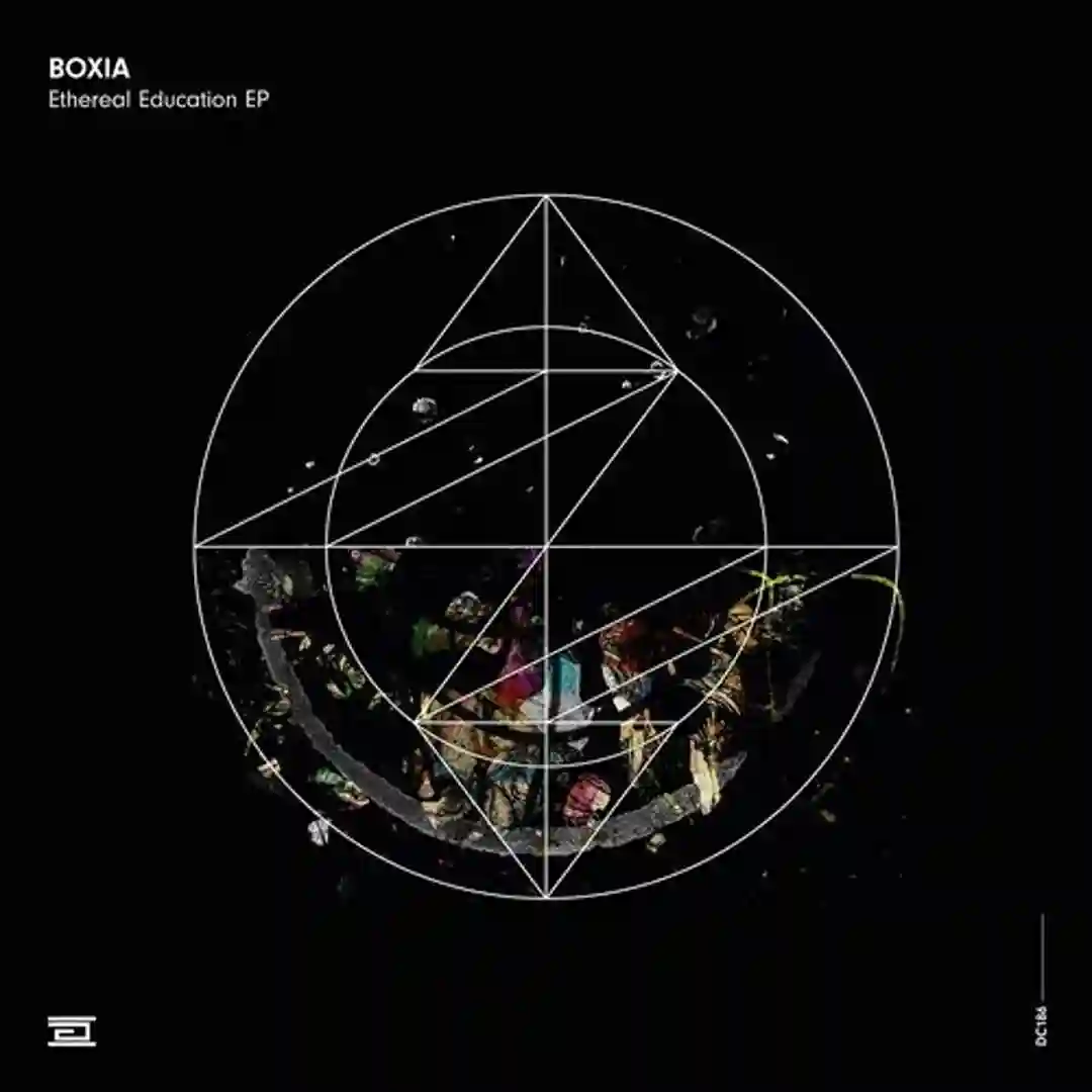 No World Order (Original Mix) cover