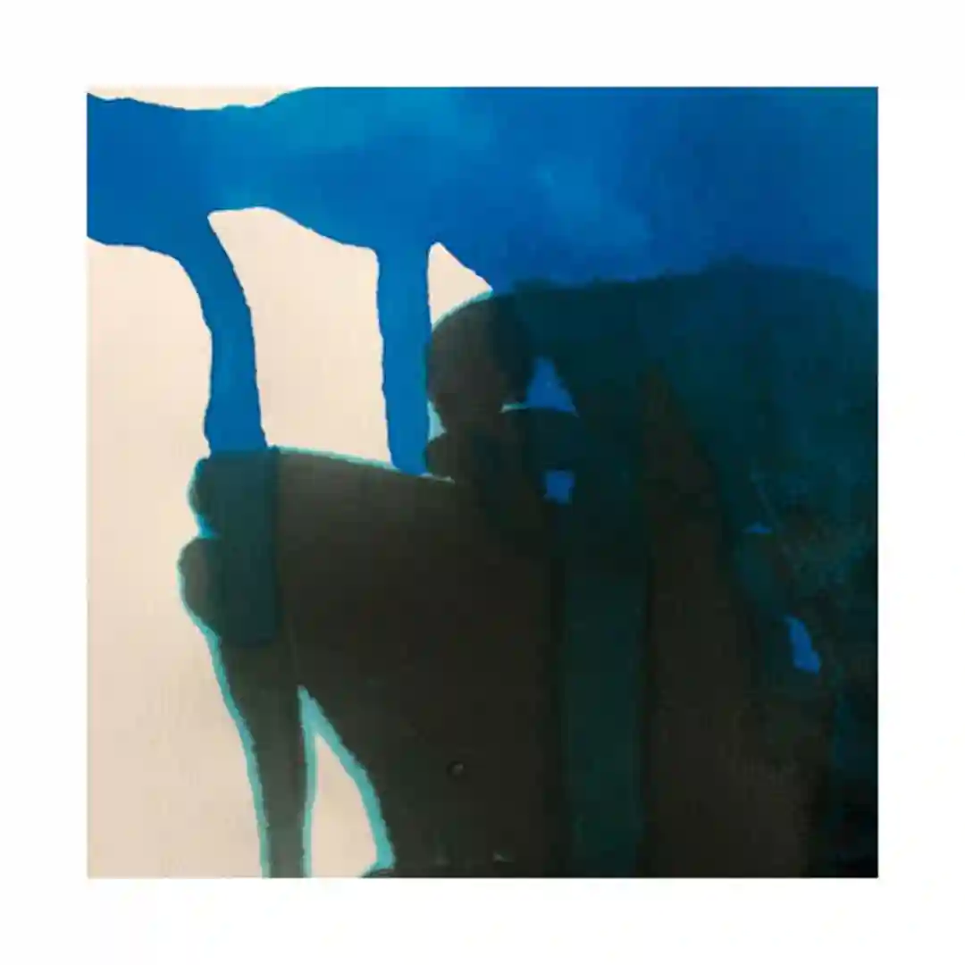 Nowized History cover