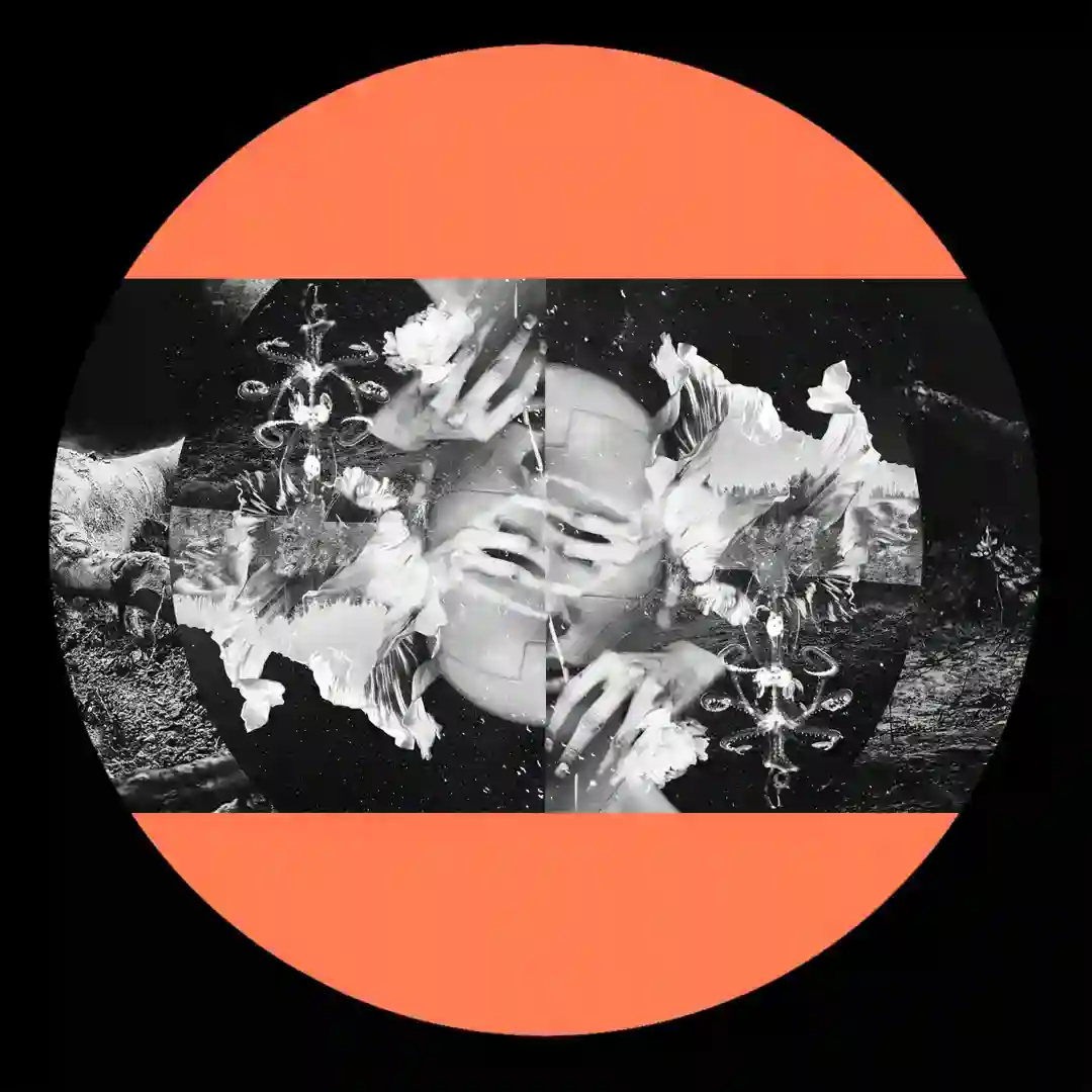 The Mess (Original Mix) cover
