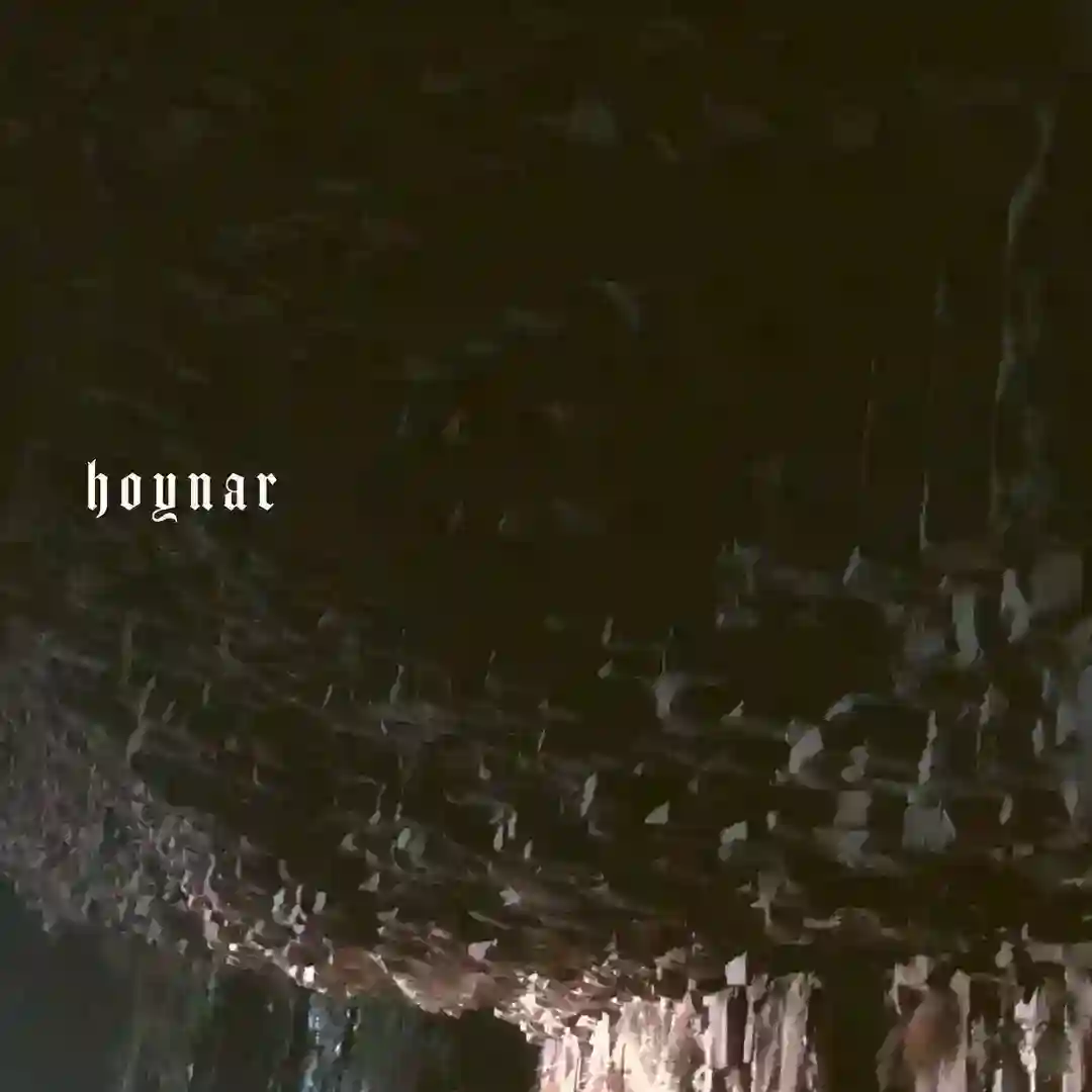 Hoynar cover