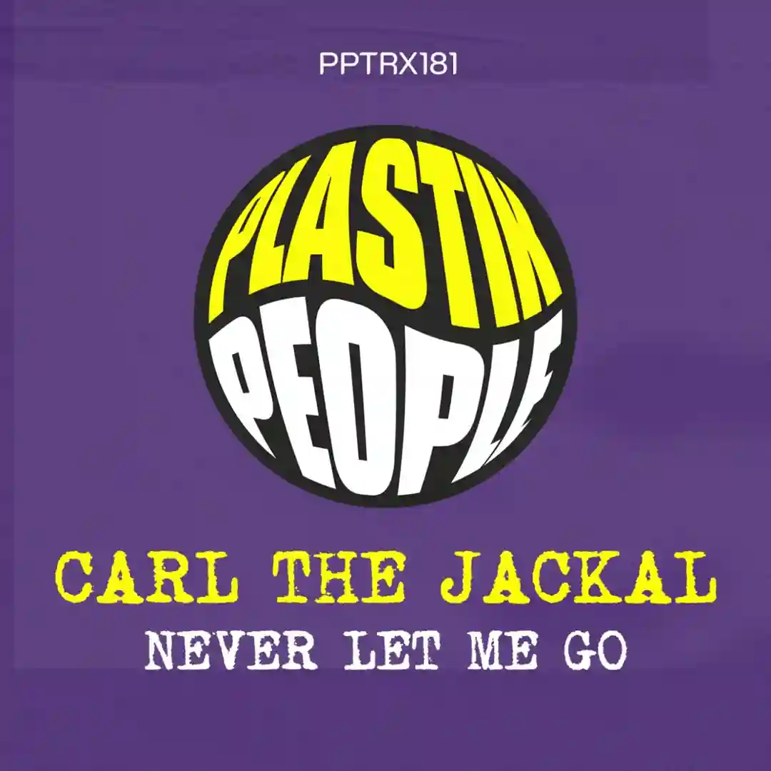 Never Let Me Go (Original Mix) cover