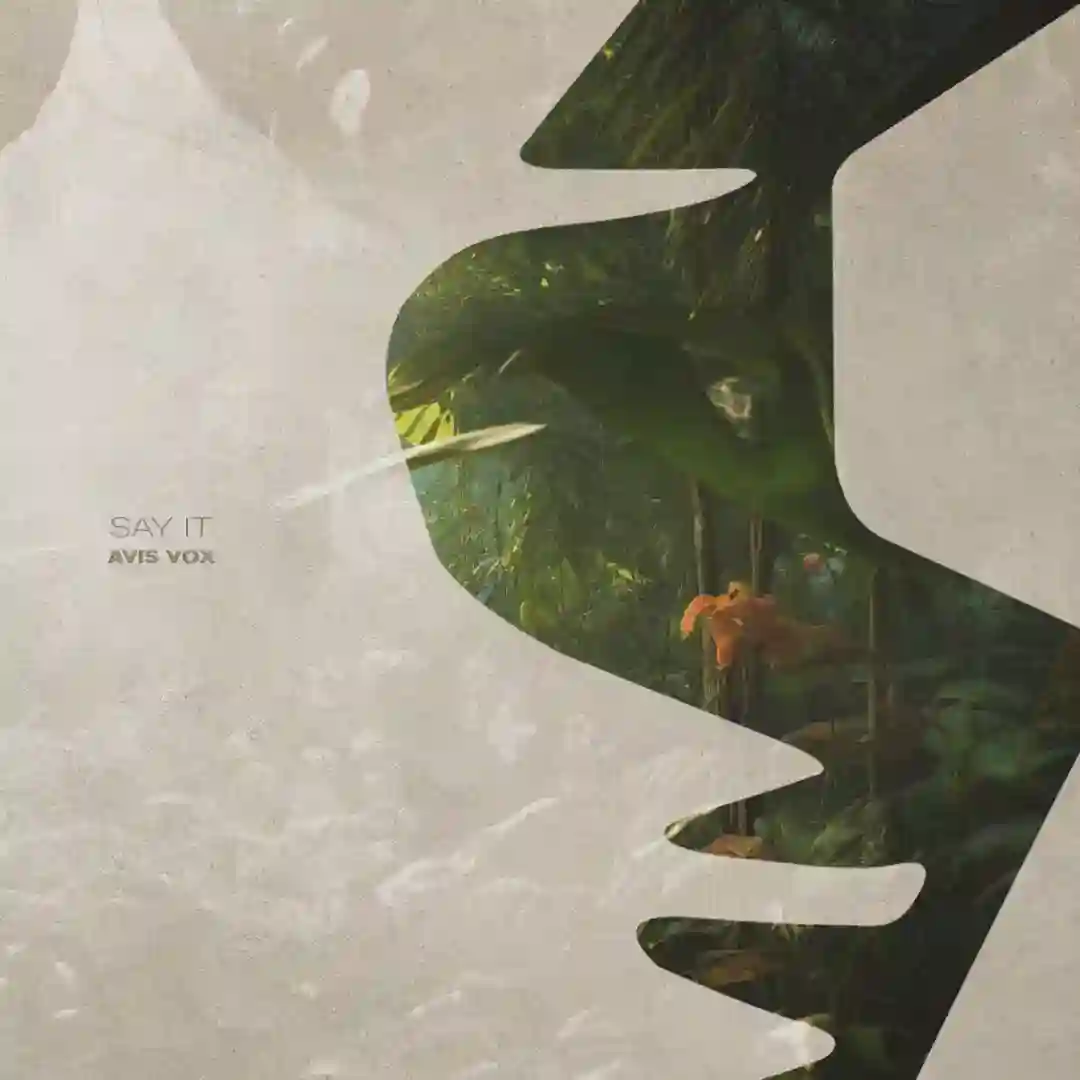 Say It cover