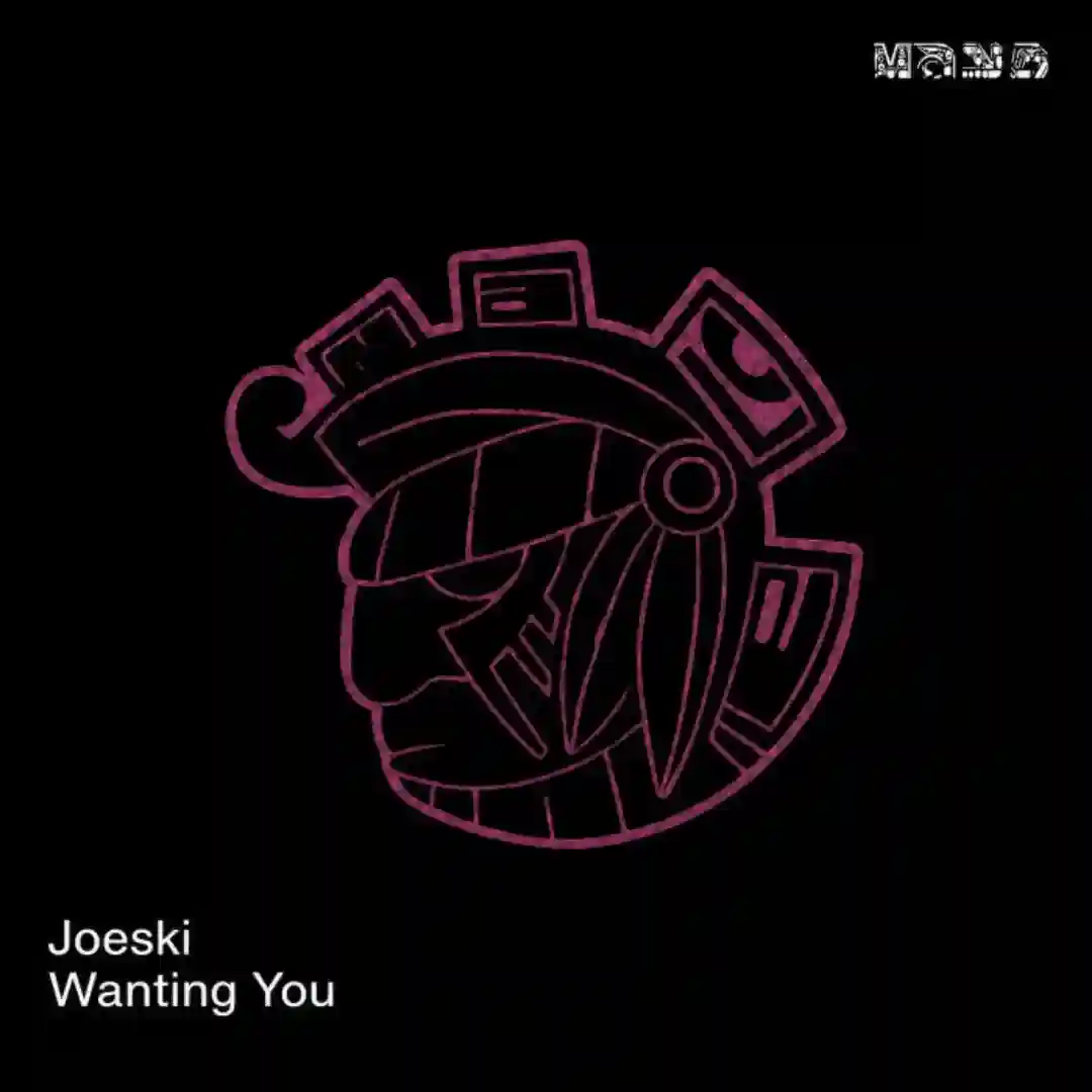 Wanting You cover