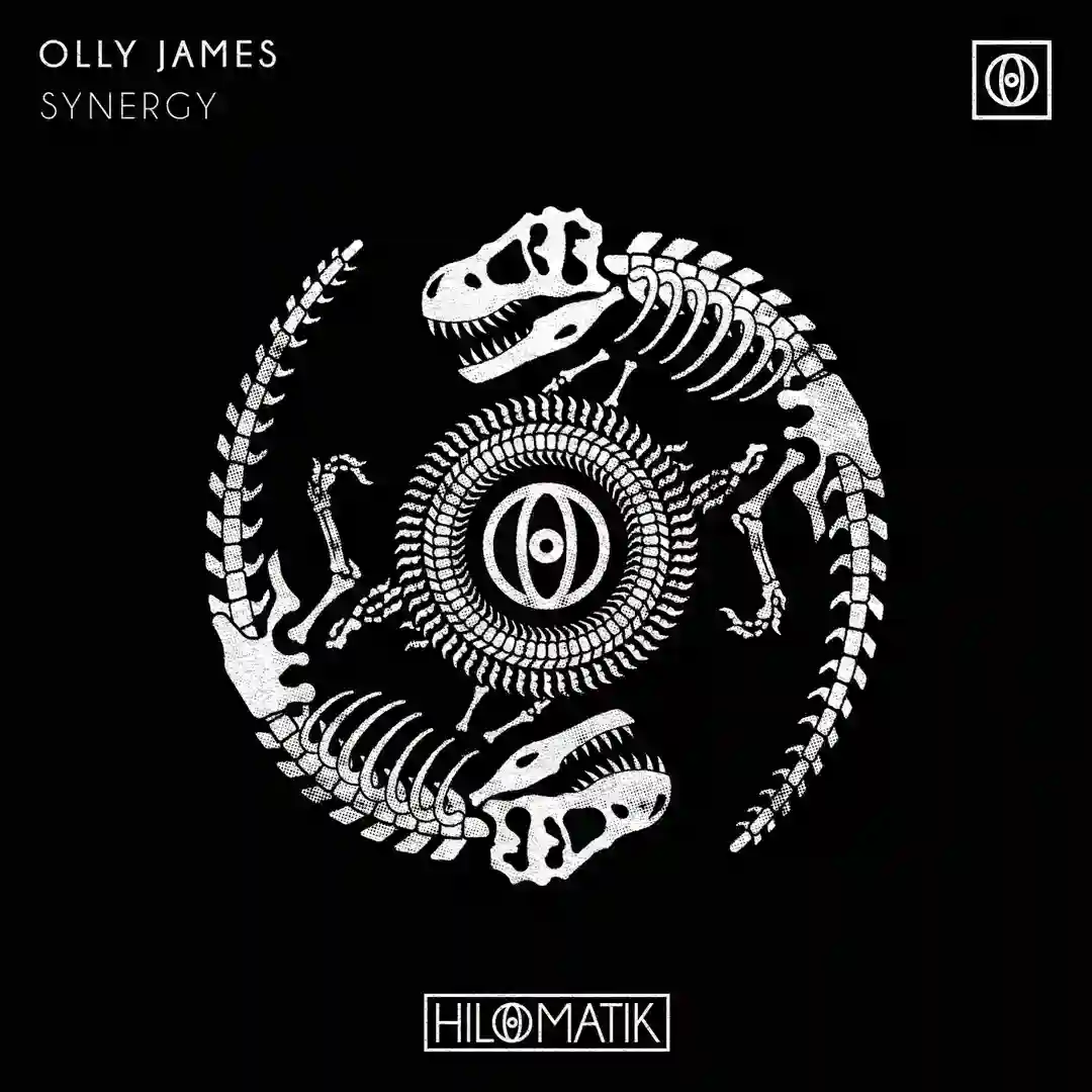 Synergy (Extended Mix) cover