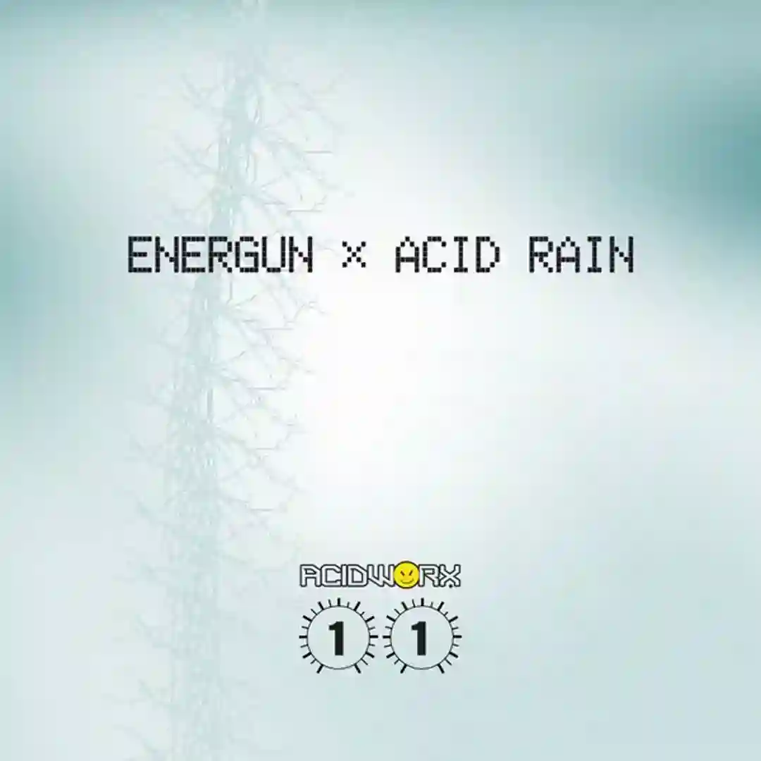 Acid Stay cover