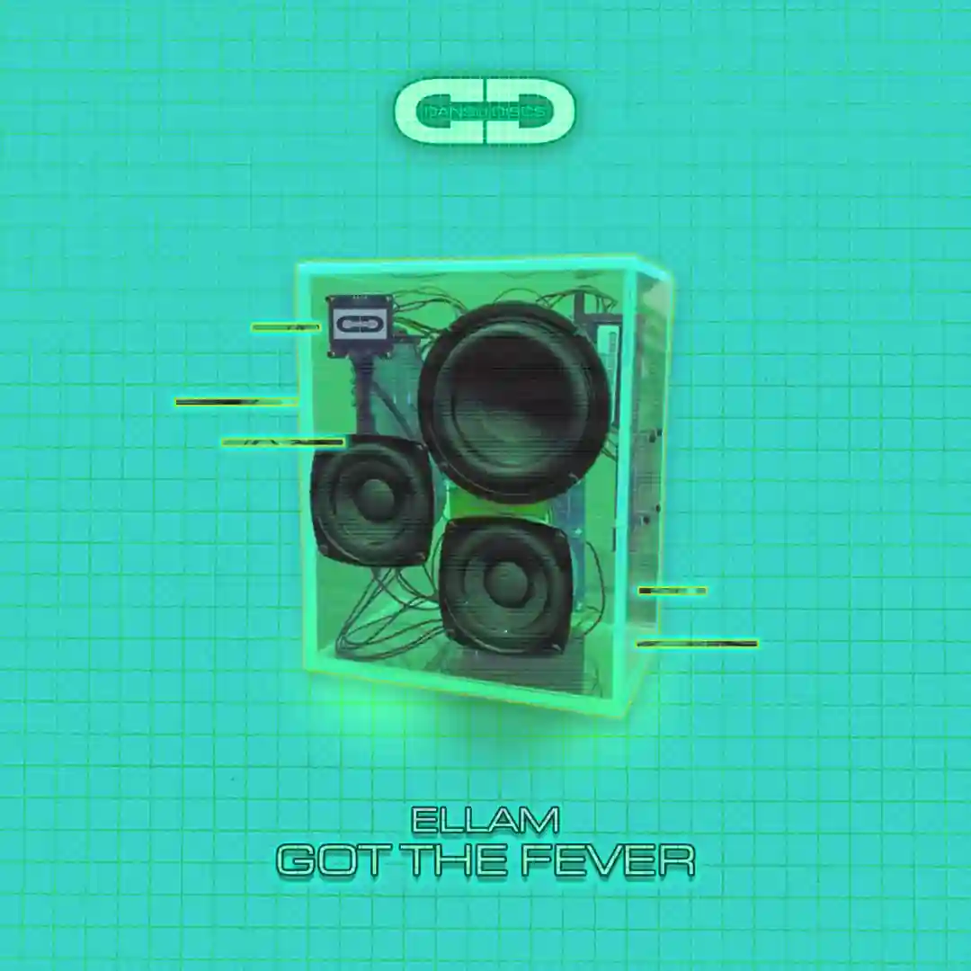 Got The Fever cover