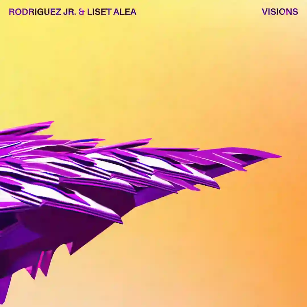 Visions (Tim Engelhardt Remix) cover
