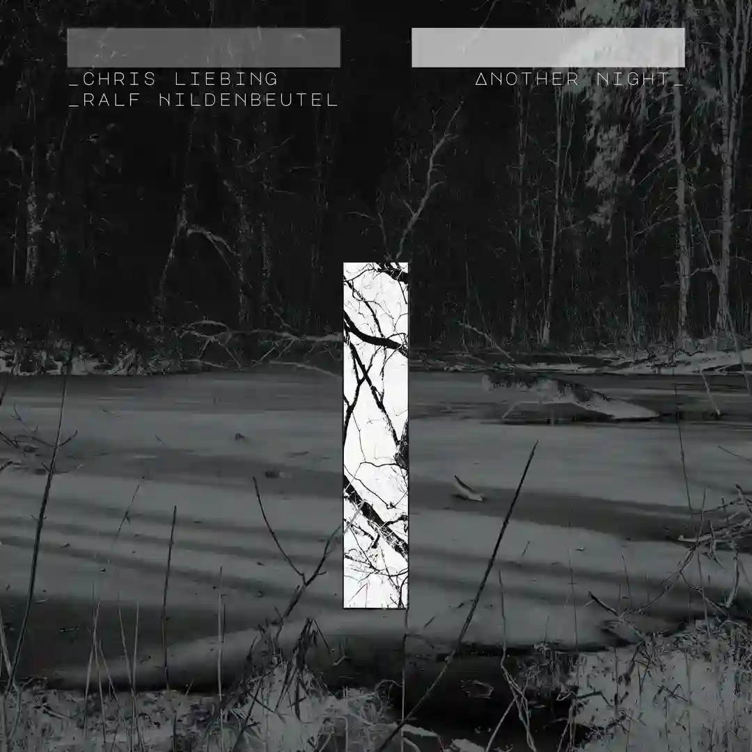 Circles feat. Tom Adams (Club Mix) cover