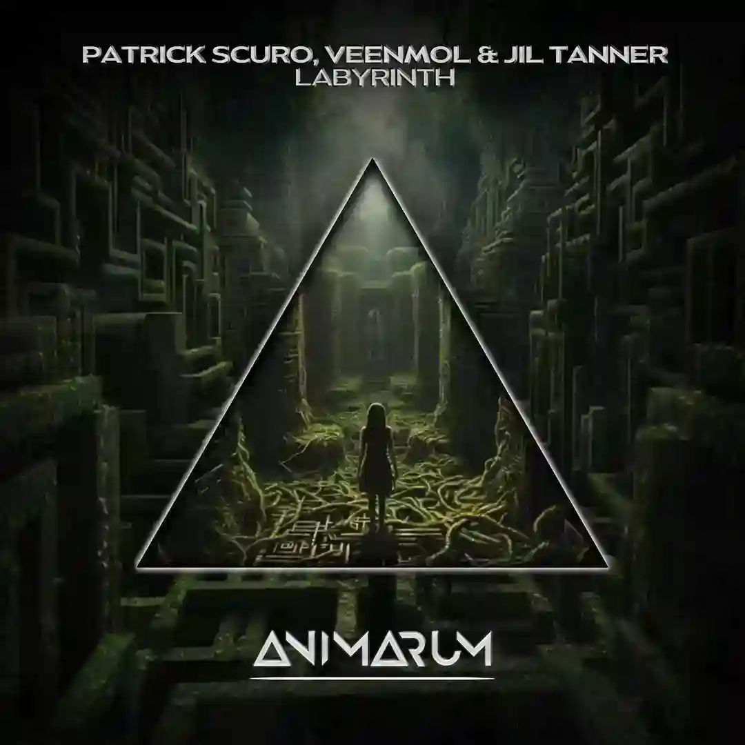 Labyrinth (Extended Mix) cover