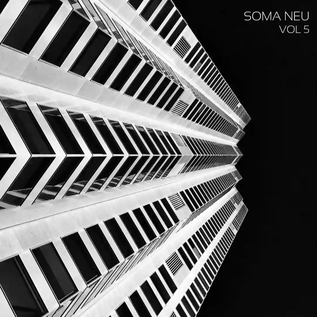 Holding (Original Mix) cover