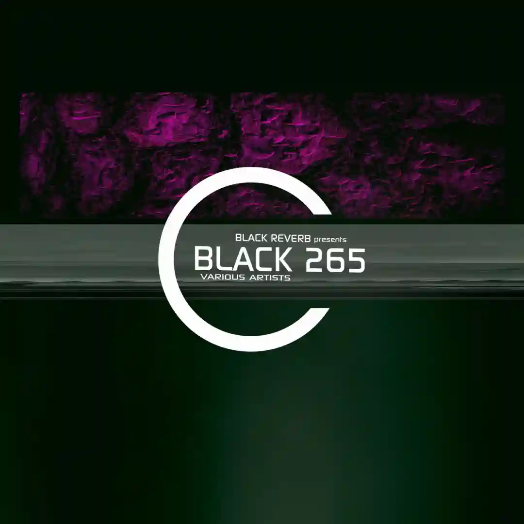 Acid Lord (Maschino Violento Remix) cover