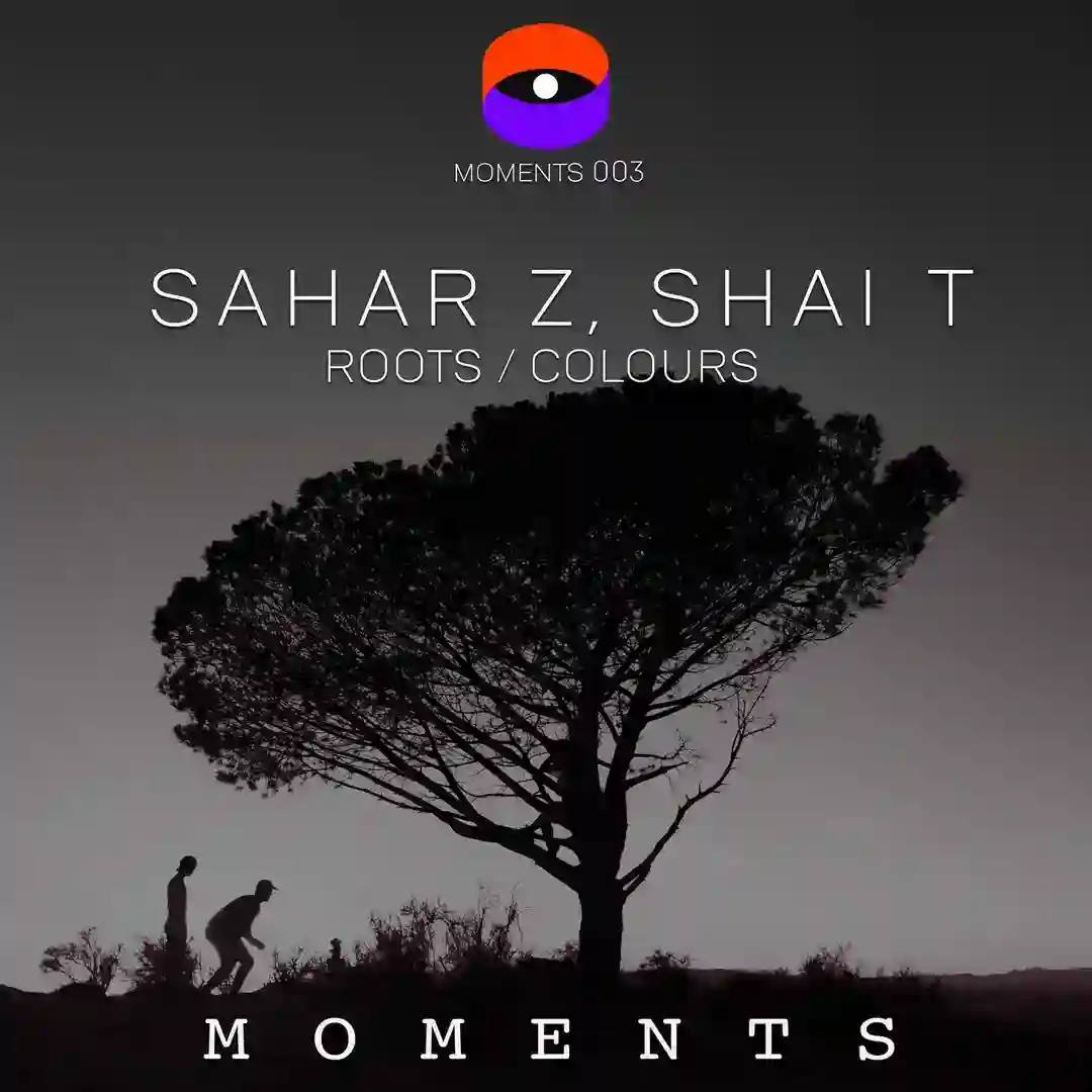 Roots (Original Mix) cover