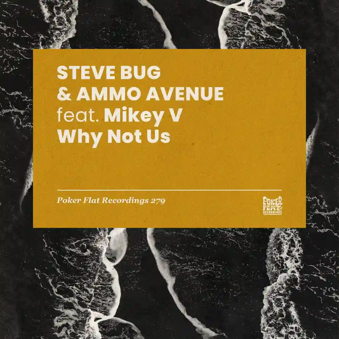 Why Not Us cover
