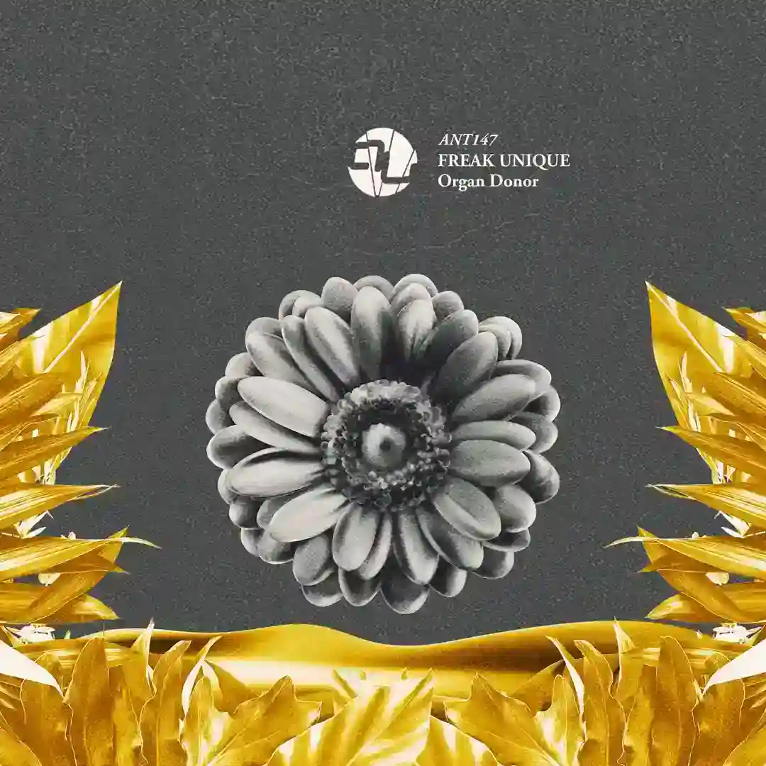 Organ Donor (Original Mix) cover
