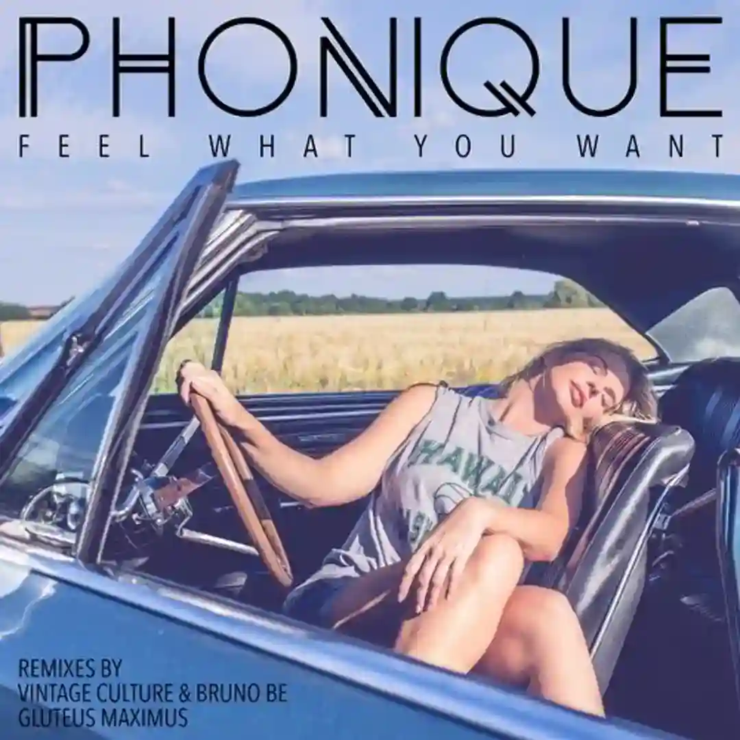 Feel What You Want (Vintage Culture & Bruno Be Remix) cover