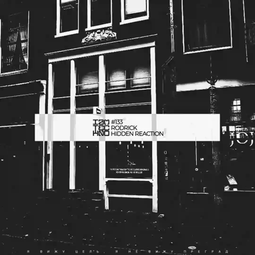 Hidden Reaction (Original Mix) cover