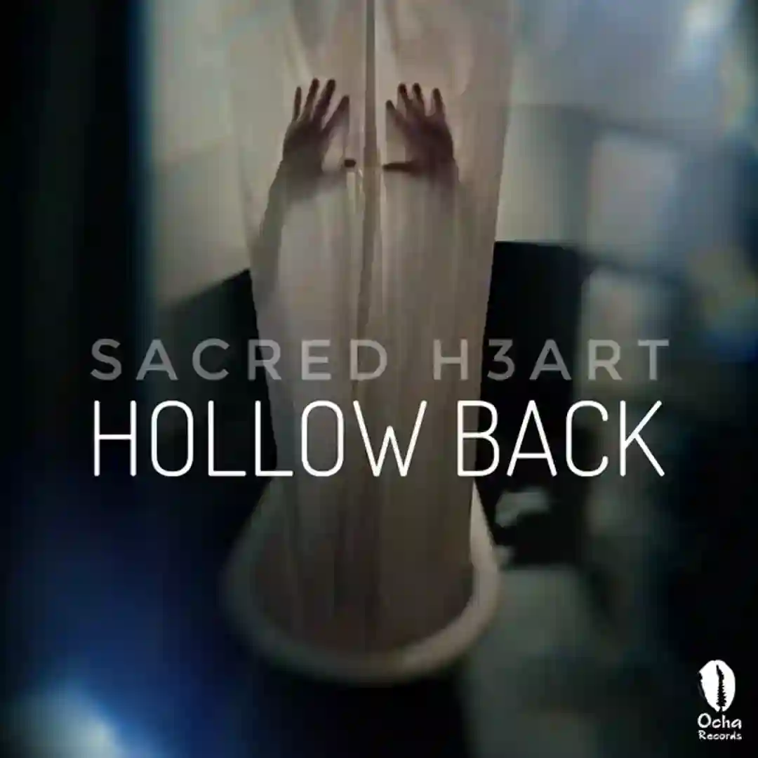 Hollow Back (Original Mix) cover