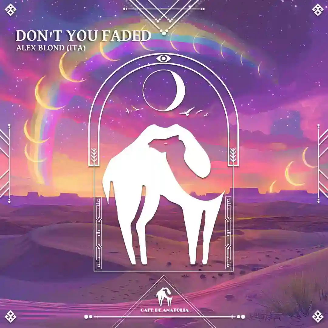 Don't You Faded (Extended Mix) cover