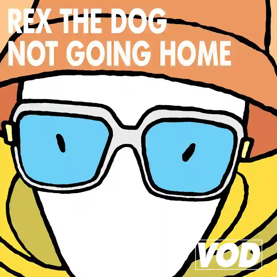 Not Going Home (Original Mix) cover