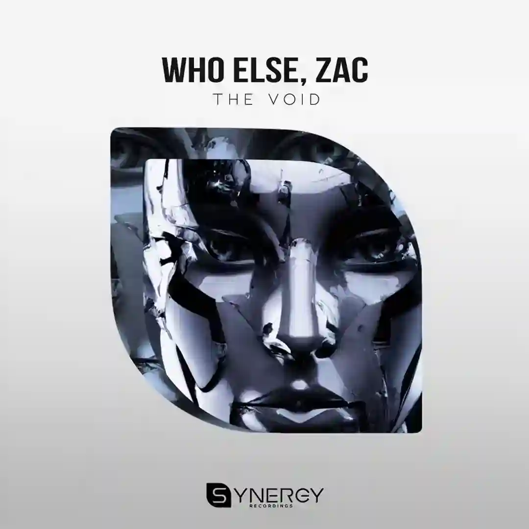 The Void (Radio Edit) cover
