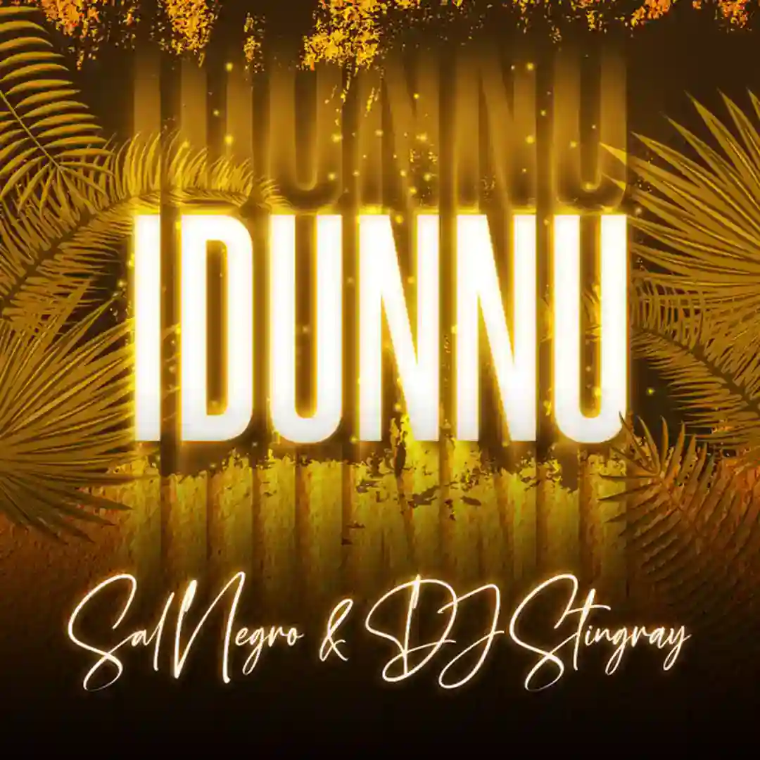 Idunnu cover