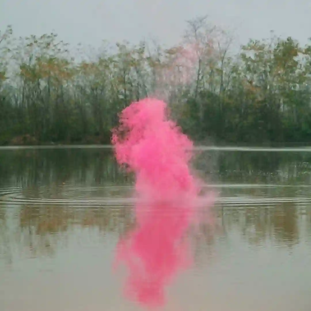 Wild Air cover