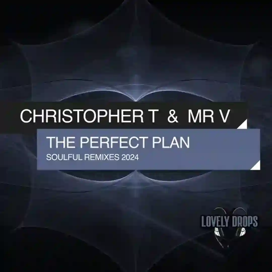 The Perfect Plan (Soulful Instrumental Remix 2024) cover