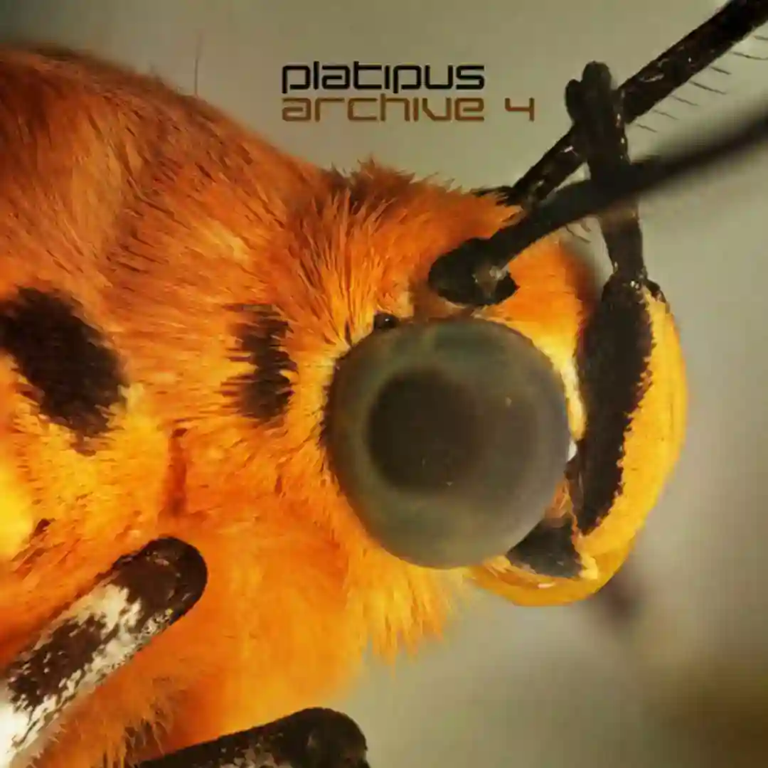 Waah! (Evolution Remix - Remastered) (Evolution) cover