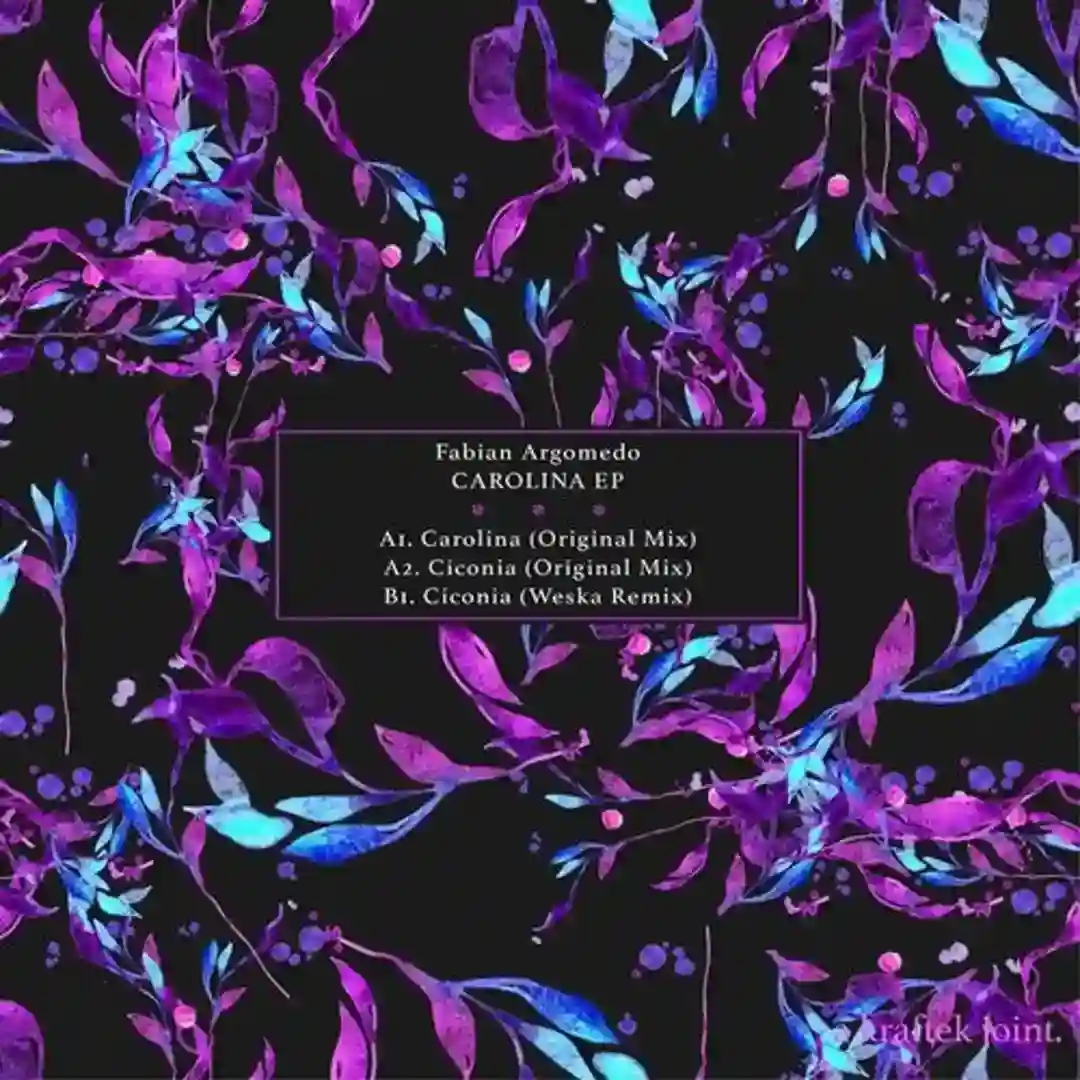 Ciconia (Original Mix) cover