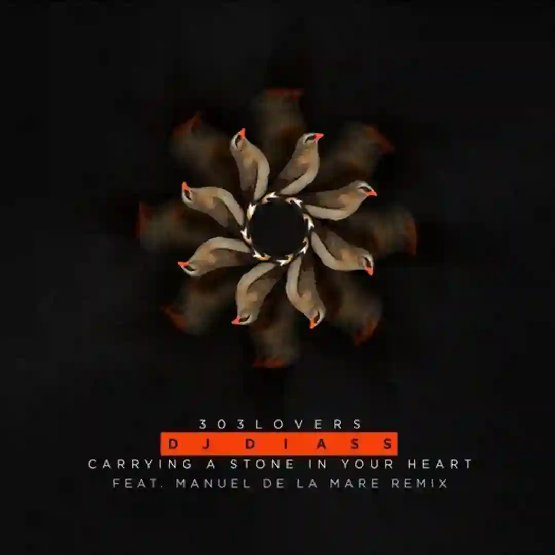 Carrying A Stone In Your Heart (Manuel De La Mare Remix) cover