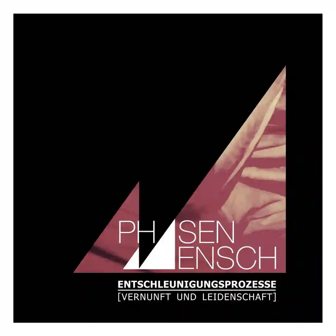 Alles Verschwindet (Original Mix) cover