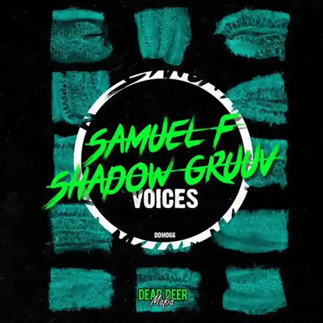 Voices (Original Mix) cover