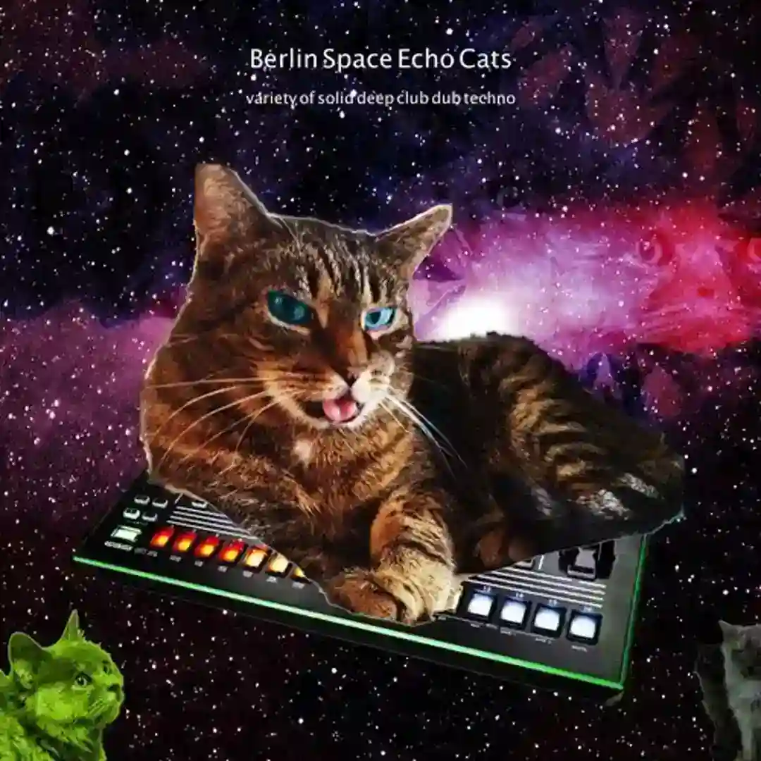 Berlin Space Echo Cats (Variety of Solid Deep Dub Techno) cover