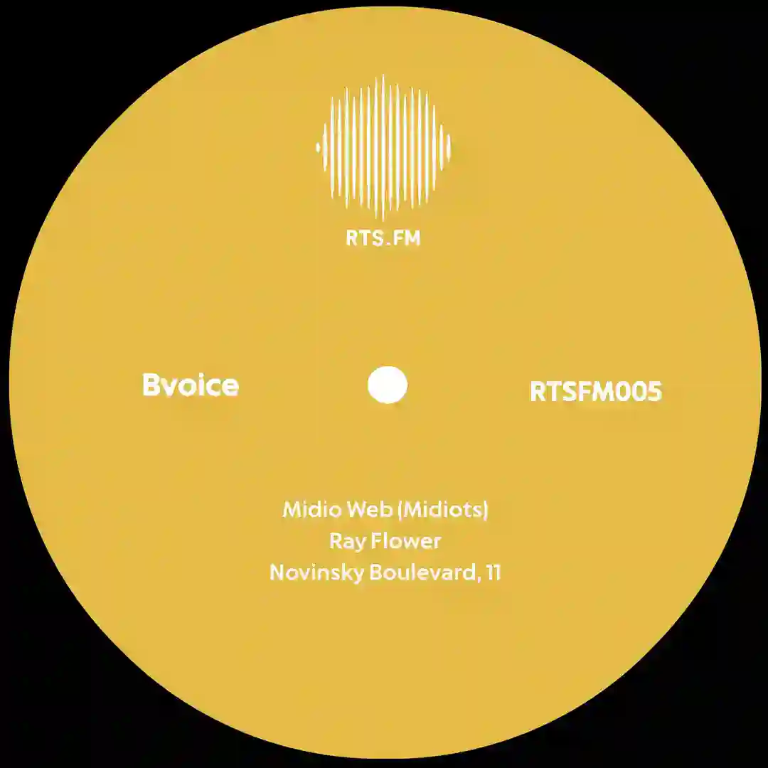 Ray Flower (Original Mix) cover