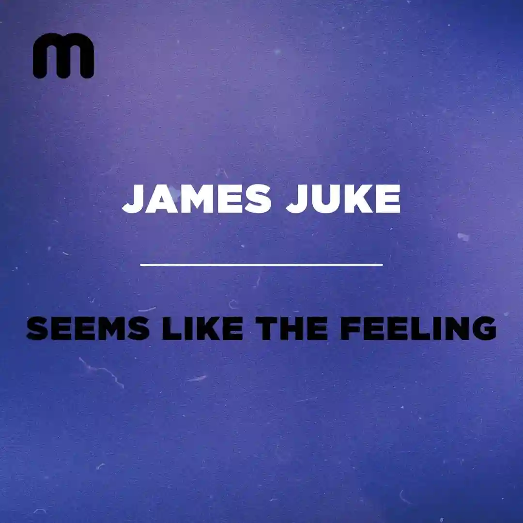 Seems Like The Feeling (Original Mix) cover