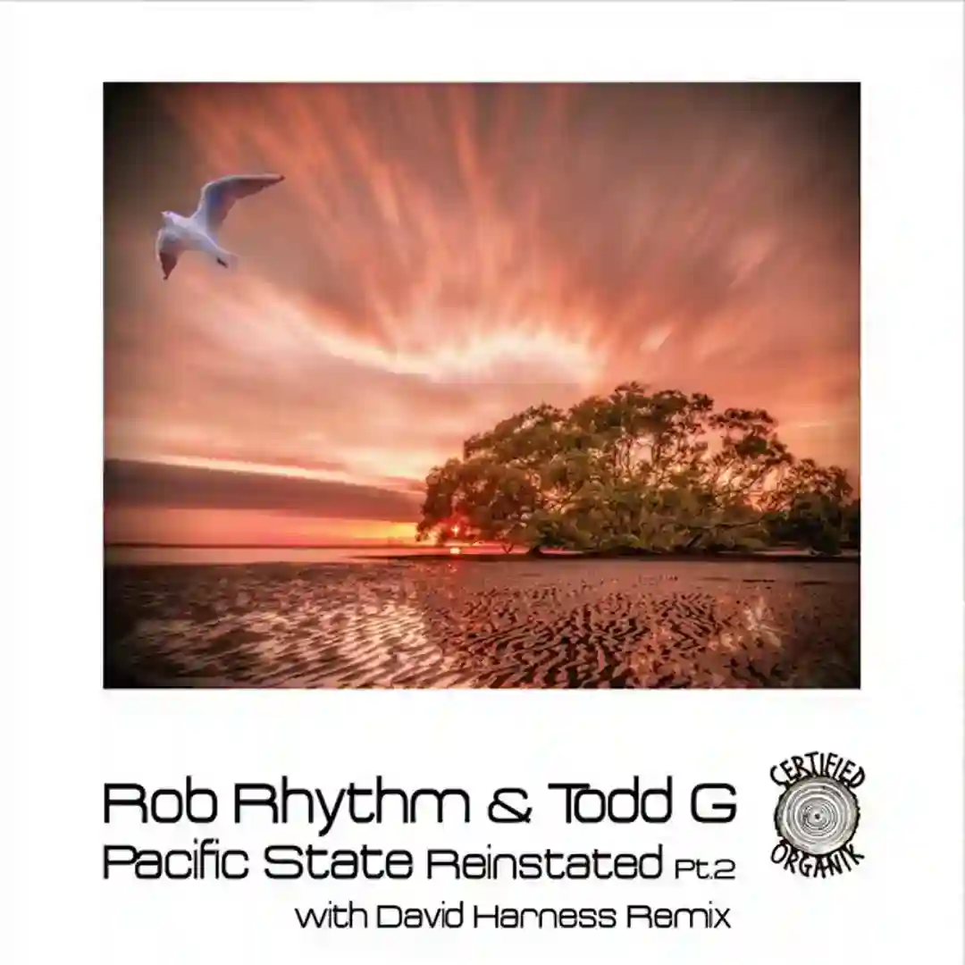 Pacific State Reinstated Pt.2 (David HarnessYoself Remix) cover