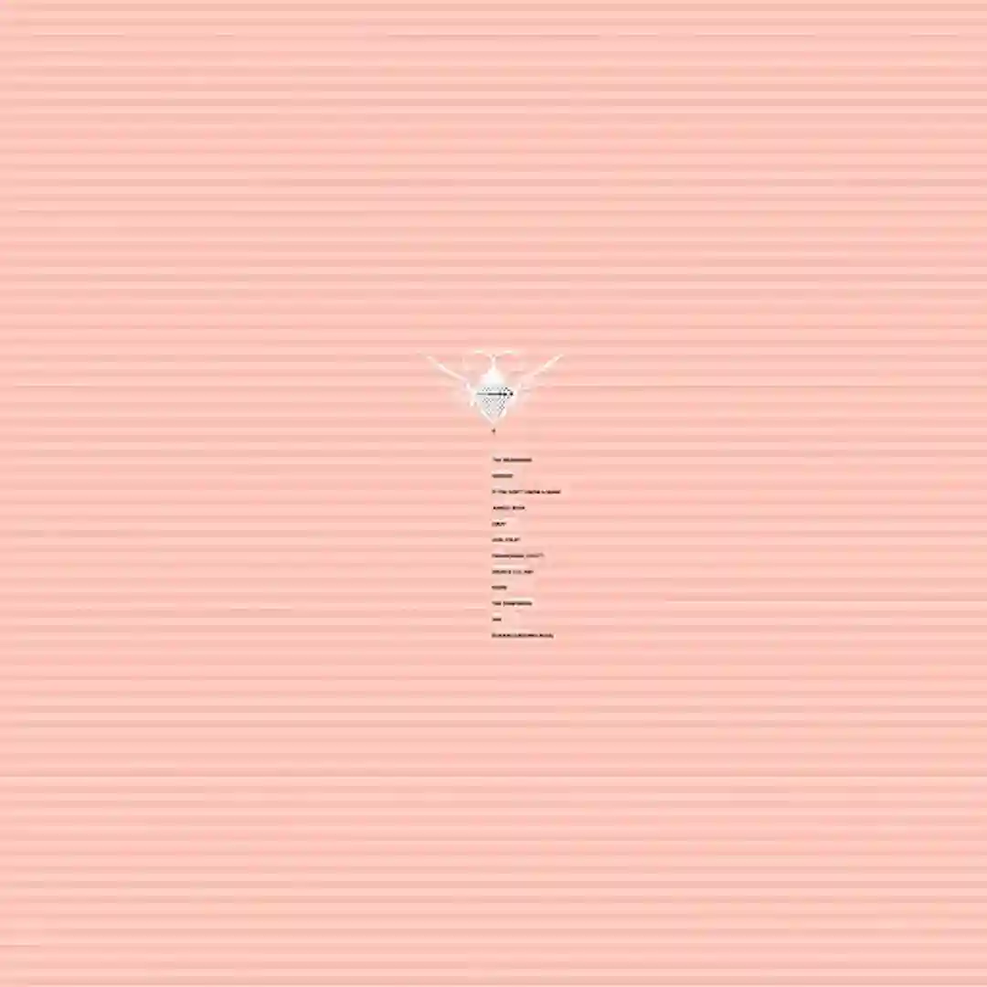 The Comforter cover