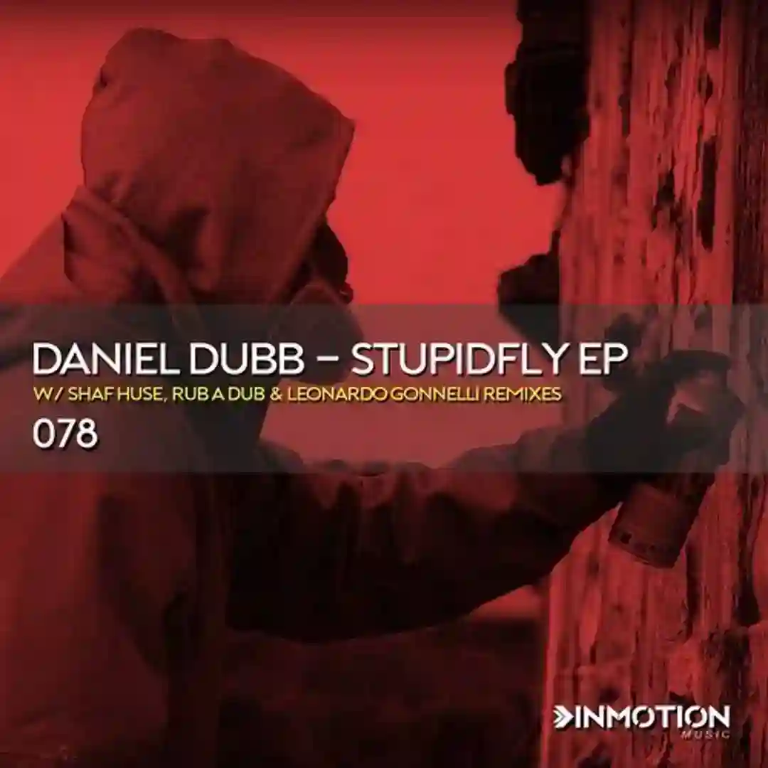 Stupidfly (Shaf Huse Remix) cover