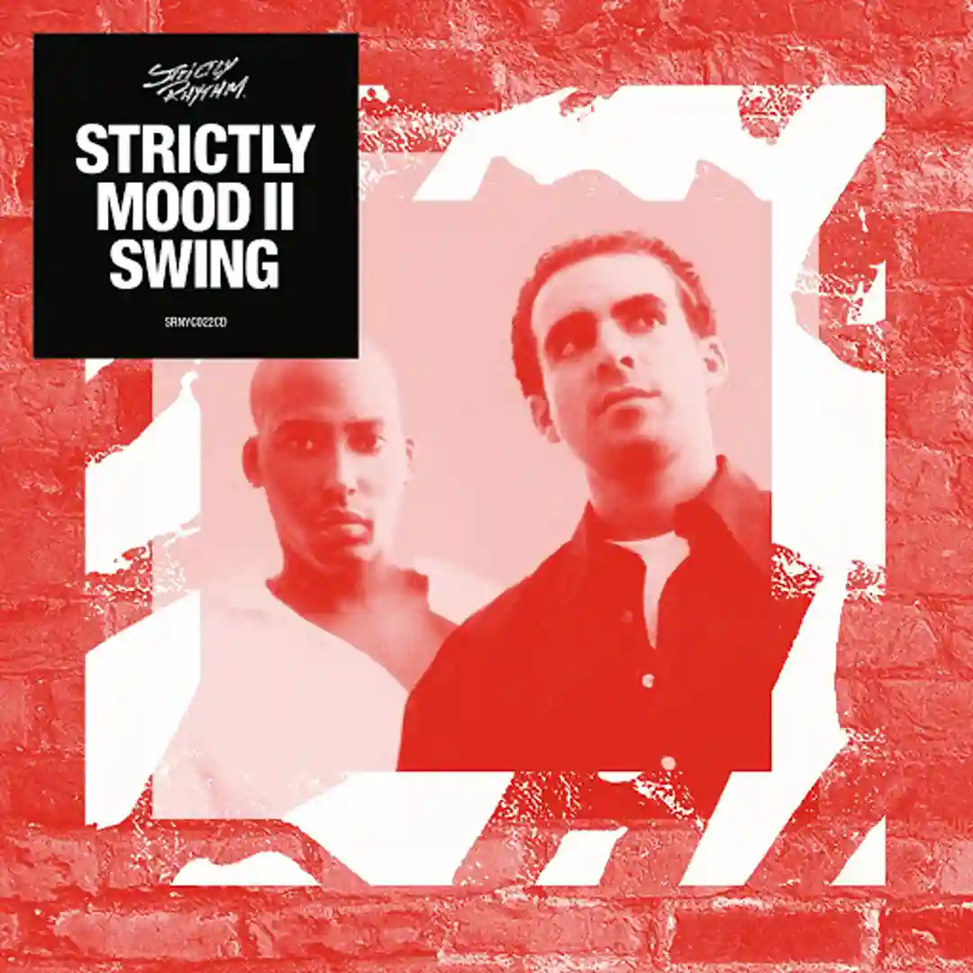What I Mean (Mood II Swing Vocal Dub Remix) cover