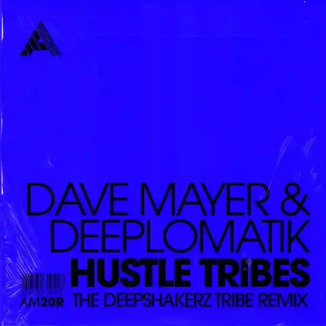 Hustle Tribes (The Deepshakerz Tribe Remix) (Extended Mix) cover