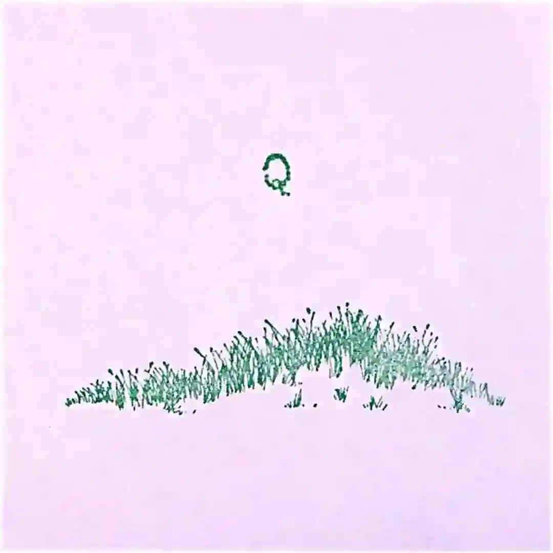 Silverplane cover