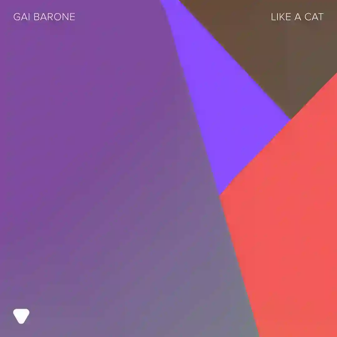Like A Cat cover