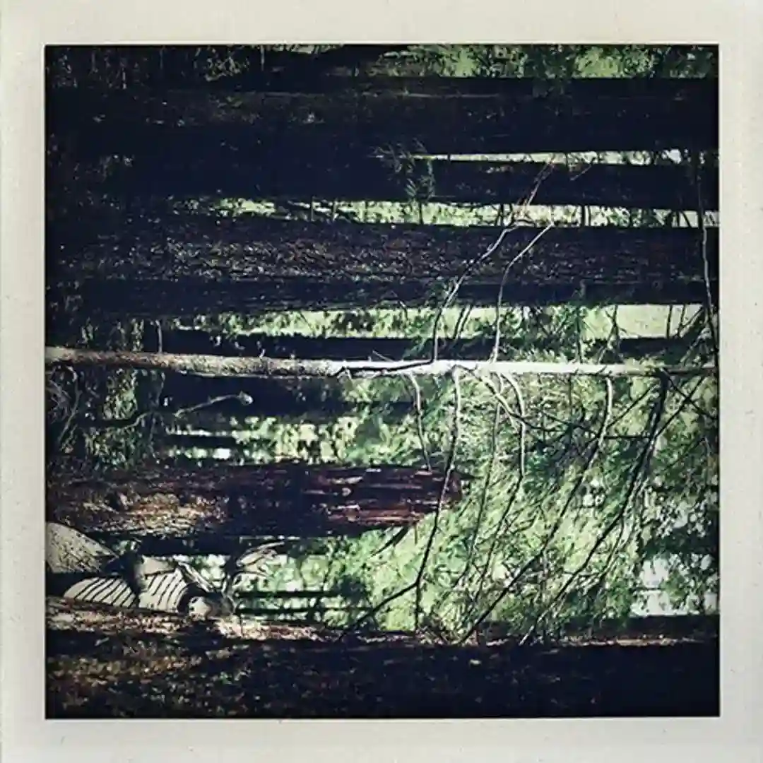 Something In The Trees (Original Mix) cover