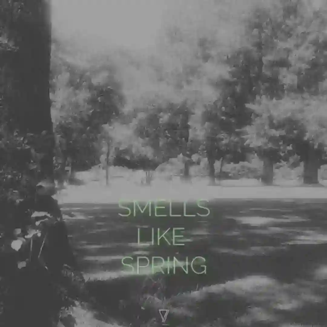 Jolie laide (Original Mix) cover