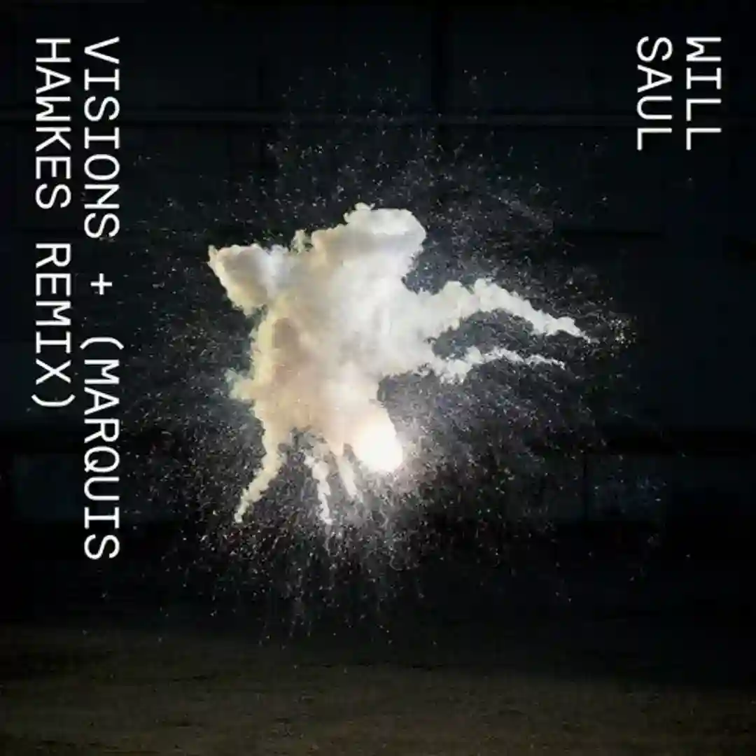 Visions cover