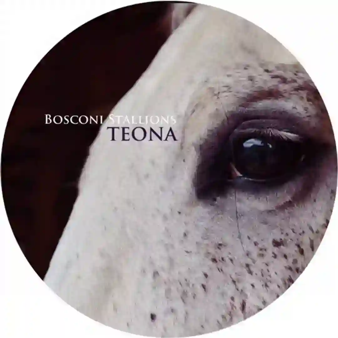 Quanto Tempo Ci Rimane (Fabio's Concolation Edit) cover