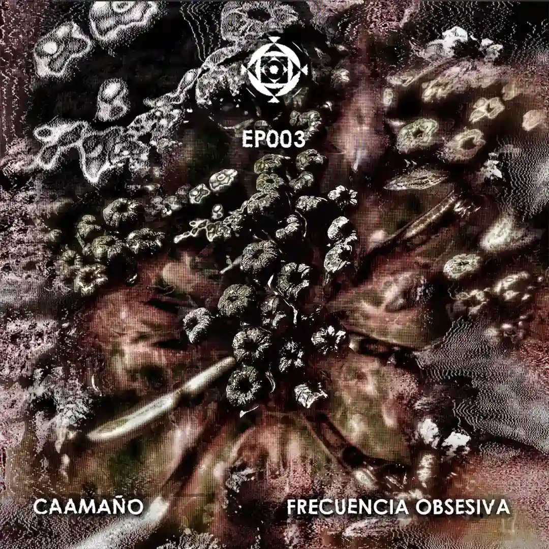Ruido del Régimen (Original Mix) cover